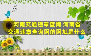 河南交通违章查询 河南省交通违章查询网的网址是什么